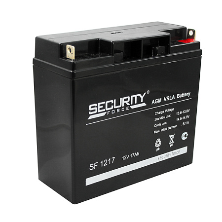 Security Force (SF) SF1217 аккумулятор герметичный, свинцовый